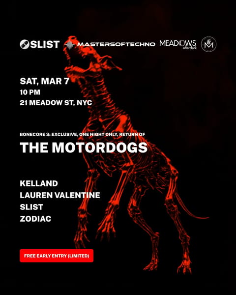 THE MOTORDOGS