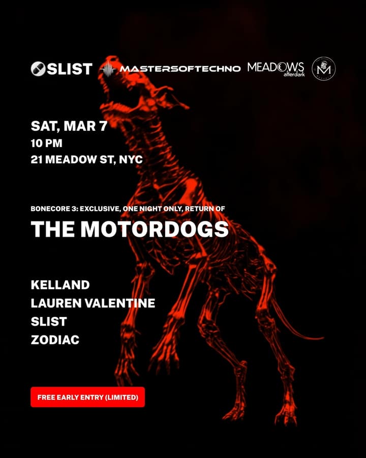 THE MOTORDOGS